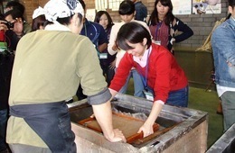 ?Y Experiencing Japanese washi paper-making